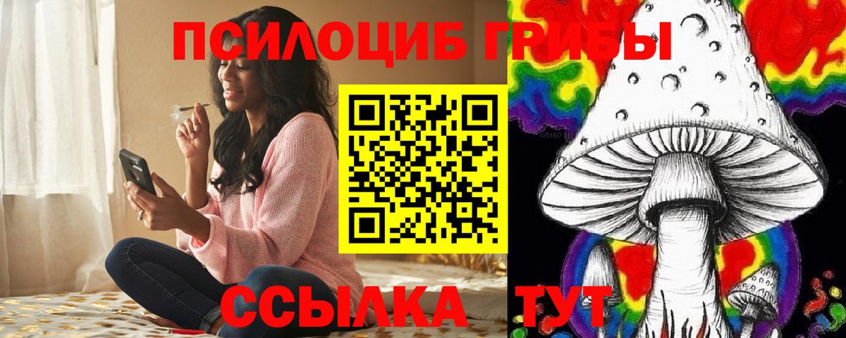 Галлюциногенные грибы Cubensis  Вход с VPN  Усть-Илимск 